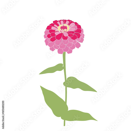 A vibrant illustration of a zinnia flower in full bloom. The design features soft pink and green hues on a white background.