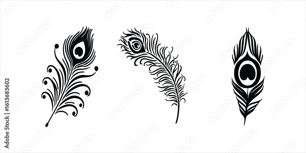 Obraz premium peacock feather silhouette vector hand drawn illustration on white background.