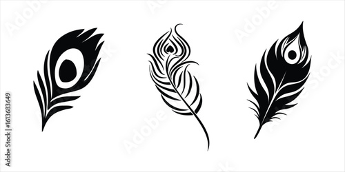peacock feather vector hand drawn illustration on white background, peacock feather silhouette vector icon set.