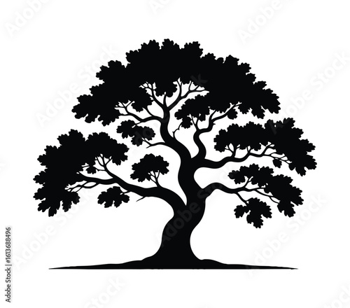 Celtic oak tree vector illustration, mythology forest, sacred tree silhouette, thick trunk, strong branches, spiritual woodland, vintage clipart, seasonal oak set, ancient forest nature art.