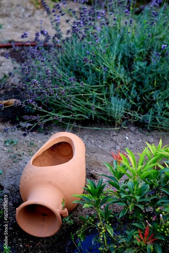 detalle de jardín con difrentes plantas y flores con un jarrón roto que hace de tiesto 