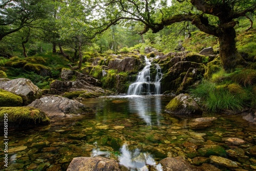 Tranquil waterfall cascading into a crystal-clear pool, nestled amidst lush green forest