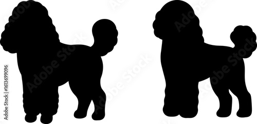 Black poodle dogs set, Set of poodle, poodle collection, Vector of poodle, poodle animal silhouette, black poodle animal isolated on white background