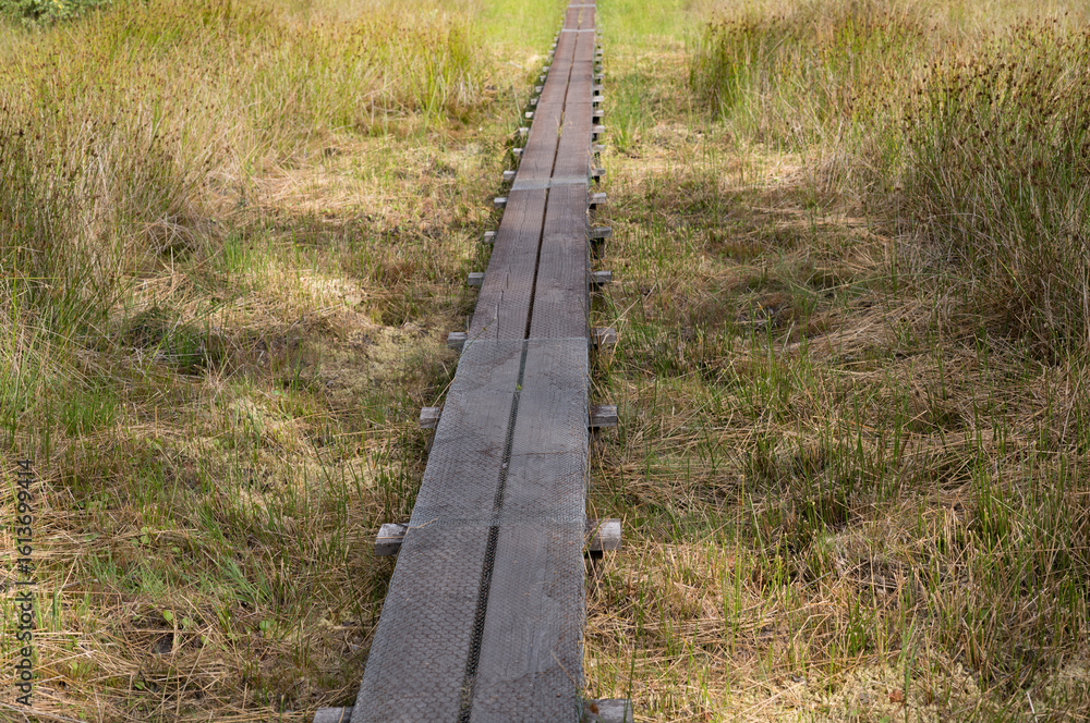 Obraz premium Wooden hiking trail crossing a marsh in woold, netherlands
