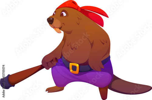 Cartoon beaver pirate or corsair animal character in bandana, vector funny personage. Caribbean pirate beaver or corsair and filibuster with club weapon and cheerful smile as marine pirate character