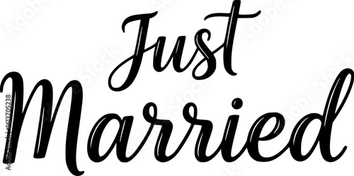 Just married. Lettering phrase on white background. Design element for greeting card, t shirt, poster. Vector illustration

