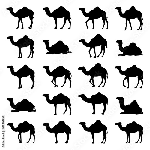 Camel Silhouette Set Desert Animal Vector Icon Collection
