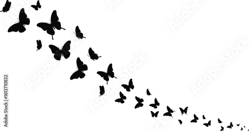 Silhouette of flying butterflies in motion trail, artistic nature illustration, elegant insect pattern for decorative and graphic design projects