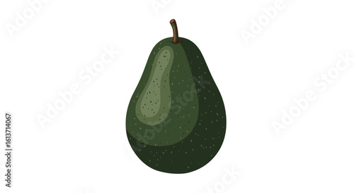 A fresh ripe avocado fruit with its stem intact a delicious healthy food source