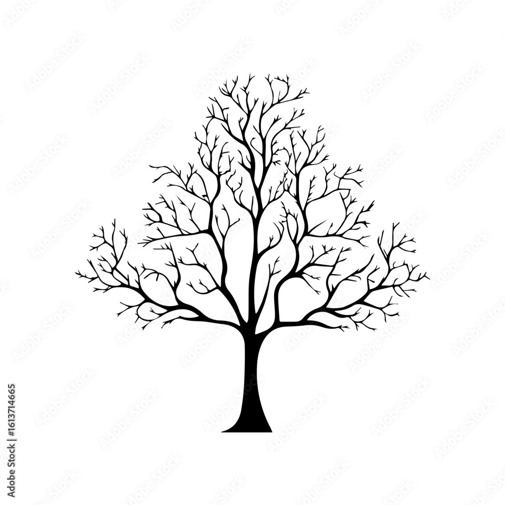 Obraz premium Bare Tree with Full, Intricate Branch Structure