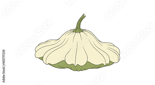 A pale white scalloped summer squash vegetable sits on a pale green leafy base against a white background