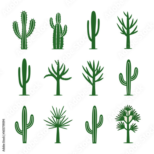 Desert Flora Collection cactus succulent