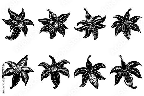 Illustration of eight black and white stylized flowers with visible stamens and textured petals in rows