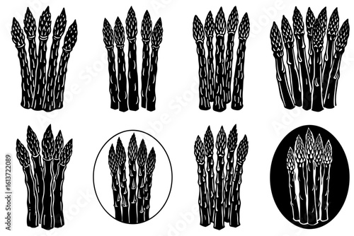 Illustration of eight asparagus bunches in various arrangements on a white background display style art