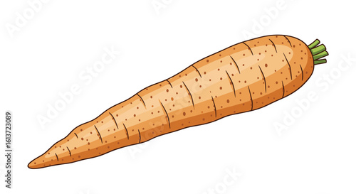 Healthy orange root vegetable with green stalks delicious and nutritious for a balanced diet