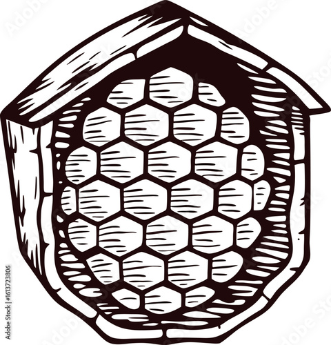 Engraved wooden beehive with exposed hexagonal honeycomb vintage etched insect habitat illustration