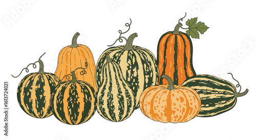 A vibrant collection of autumn gourds and squash in assorted shapes and colors representing the harvest season