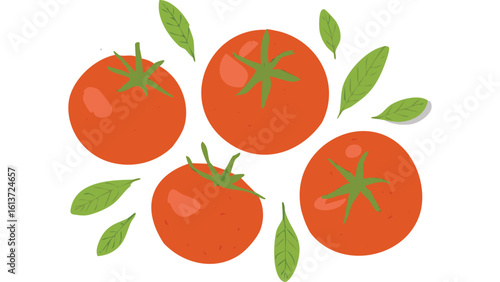 Bright and simple flat illustration of ripe red tomatoes, ideal for culinary branding, grocery branding, or recipe books emphasizing healthy vegetable options.
