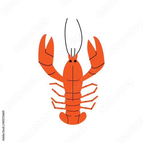 Vector flat illustration of lobster. Cute hand drawn clipart of seafood on isolated background