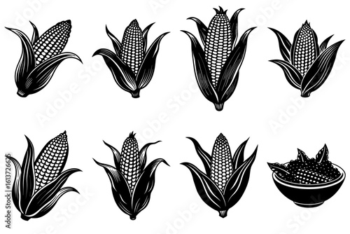 Illustration of eight corn cobs in different positions and a bowl full of corn kernels on a white background