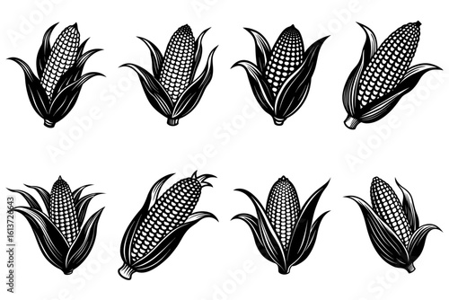 Illustration of eight corn cobs with husks in a black and white vector art style arrangement design