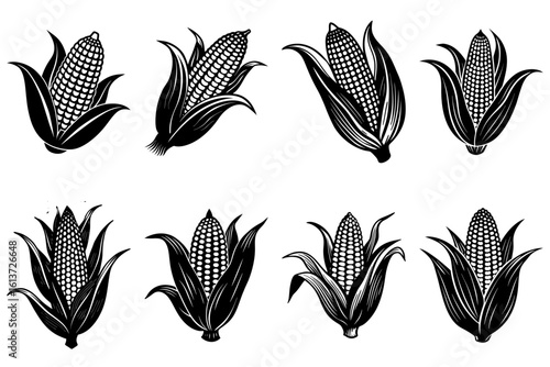 Eight black and white corn cobs with husks and kernels arranged in a symmetrical pattern on a white background