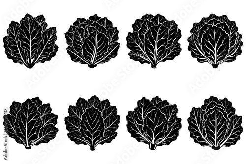 Illustration of eight black and white stylized lettuce heads arranged in a grid pattern on white backdrop