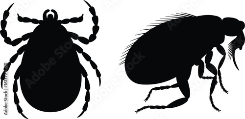 Tick and flea silhouette, parasite bug vector illustration, pest control symbol, black insect icons, veterinary health concept, microscopic parasite graphic