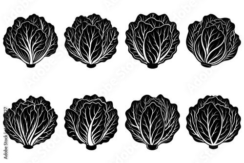 Illustration of eight black and white napa cabbages arranged in two rows on a white background