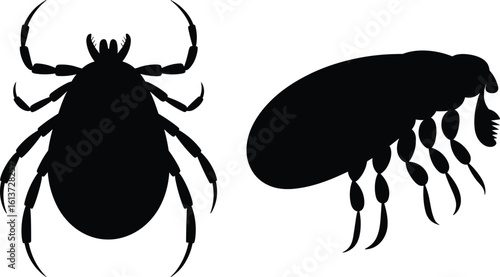 Tick and flea silhouette, parasite insect vector, black pest graphic, veterinary icon design, bug outline illustration, pest control concept
