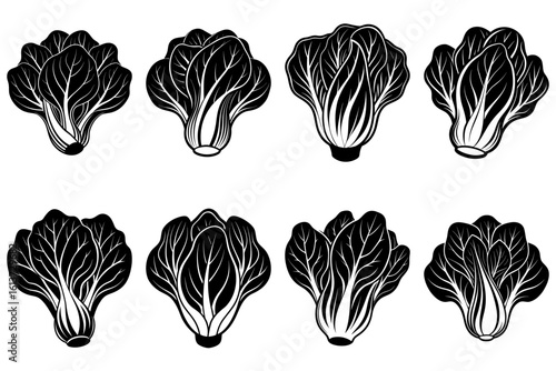 Illustration of eight bok choy plants in black and white with detailed leaf vein patterns and compact heads