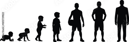 Wallpaper Mural Male growth stages silhouette PNG – baby to man evolution vector, boy life timeline clipart, male age transformation chart Torontodigital.ca