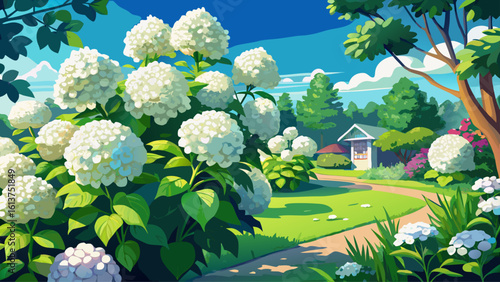 Vibrant White Hydrangea Blooms in a Sunny Summer Yard with Lush Greenery and an Inviting Atmosphere Perfect for Outdoor Serenity