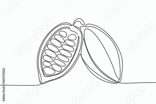 Continuous line drawing of a cacao pod isolated on white background