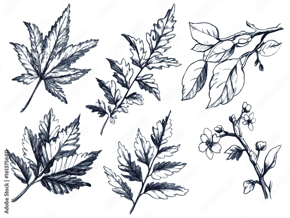 Naklejka premium Hand Drawn Indigo Blue Floral Elements Vector Illustration Set Isolated on White Background Ideal for Wedding Invitations Greeting Cards Scrapbooking and