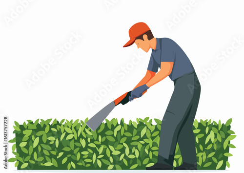 Gardener trimming a hedge with a hedge trimmer vector illustration isolated on a white background professional garden services landscaping and gardening concept