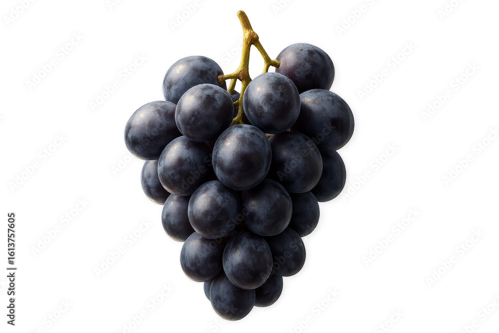 Bunch of fresh black grapes isolated on transparent background Bunch of fresh black grapes isolated on transparent background
