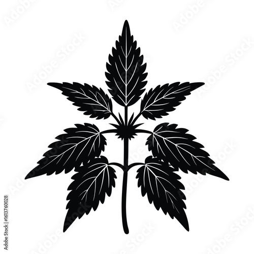 Stinging Nettle Plant Silhouette Vector Graphic Free Download on White Background