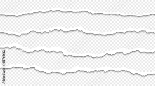 Ripped paper strips with rough torn edges
