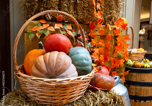 Pumpkins in a basket. Harvest festival, Thanksgiving, Halloween, card.