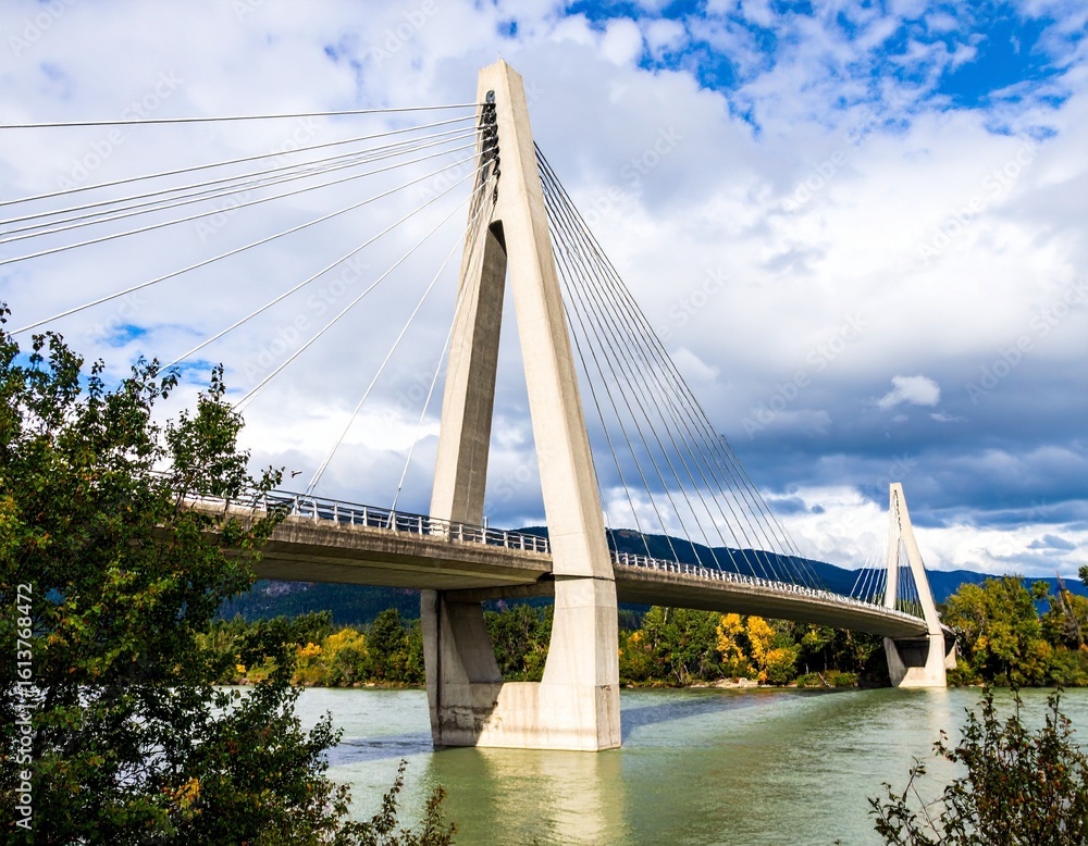 Obraz premium bridge over the river