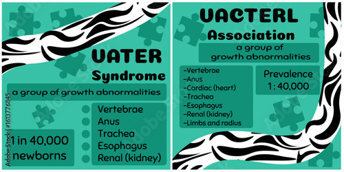 VATER Syndrome or VACTERL Association set of leaflets or posters with informational materials about a rare disease