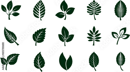 Wallpaper Mural A set of logo leaf icon black silhouettes on a white background Torontodigital.ca