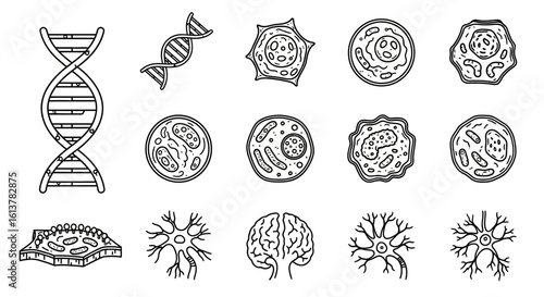 A collection of black line icons depicting DNA strands, various biological cells, and neurons