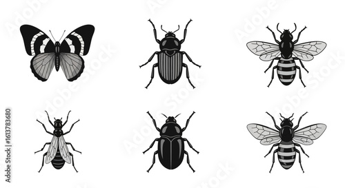 Monochrome Vector Icon Set Insects Featuring Butterfly, Beetle, Ant and Bee Designs 