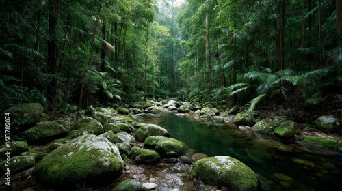 Serene rainforest stream cascading over mossy rocks amid lush green foliage with filtered sunlight, capturing peaceful wilderness and vibrant natural textures