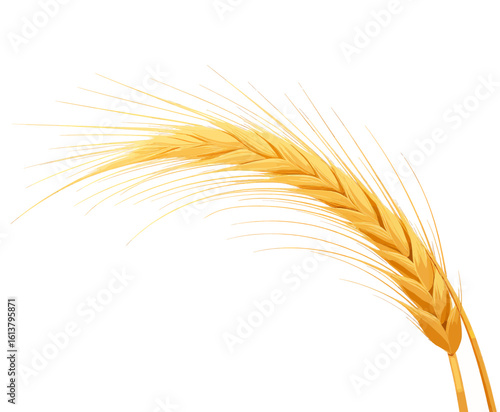 Golden Wheat Ear with Transparent Background, 3D Realism Graphic for Web Design