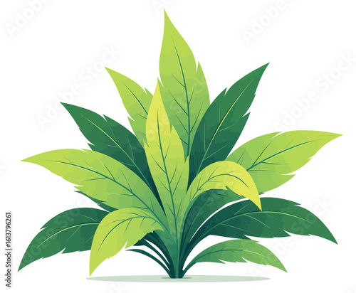 Green Leafy Plant with Transparent Background, Flat Design Illustration for Web Elements