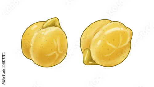 Two delicious chickpeas, a staple in healthy Mediterranean and Middle Eastern cuisine, rich in protein