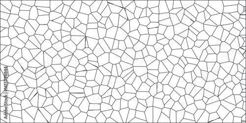 Abstract black and white voronoi diagram cellular pattern graphic design illustration for science and technology